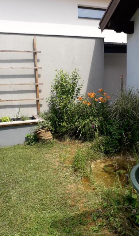Ferienwohnung Karin Humer Bad Ischl Ngoại thất bức ảnh