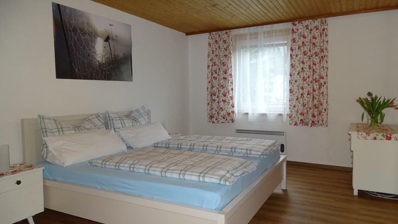 Ferienwohnung Karin Humer Bad Ischl Ngoại thất bức ảnh